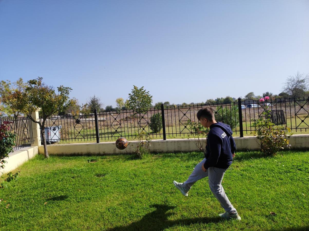 Dreams 5 * Karditsa